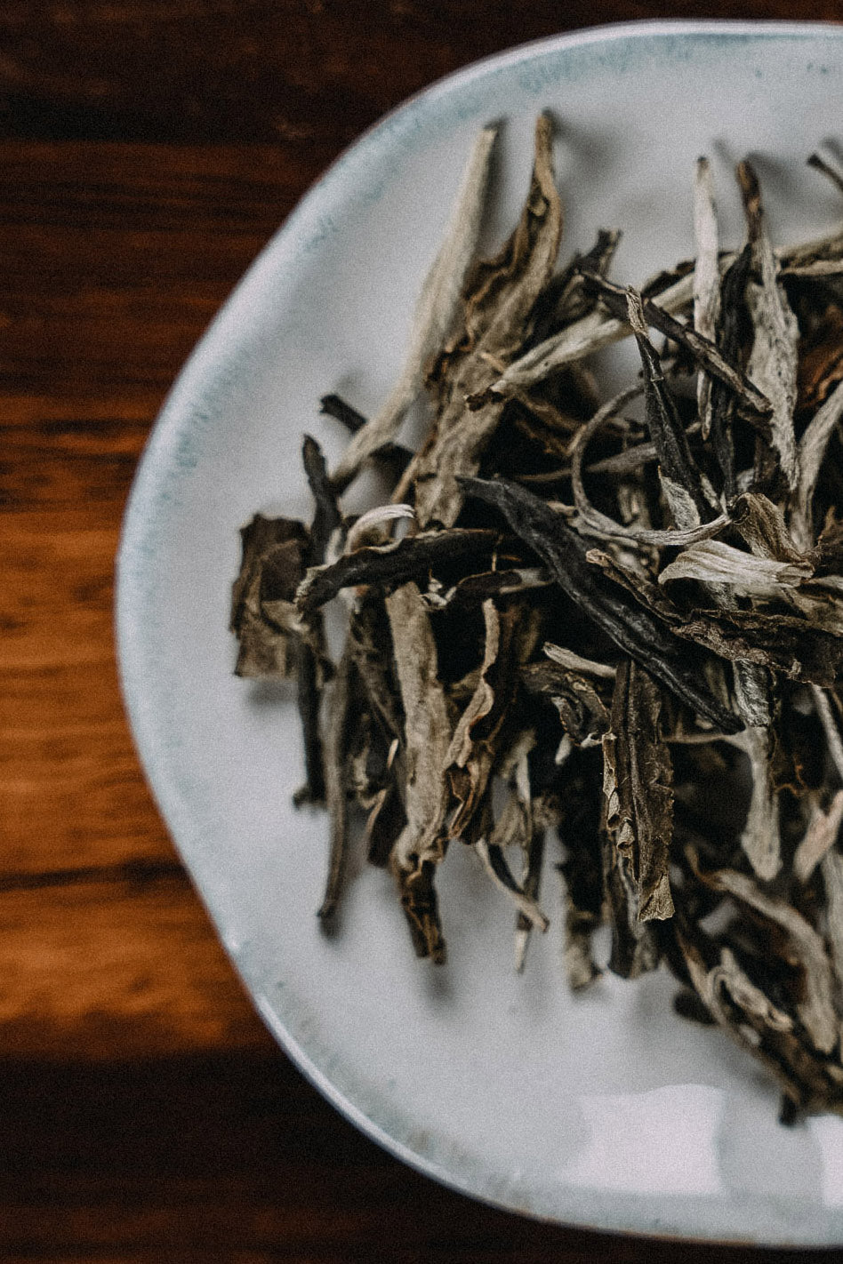 Weisser Tee white Privilege auf Holzuntergrund