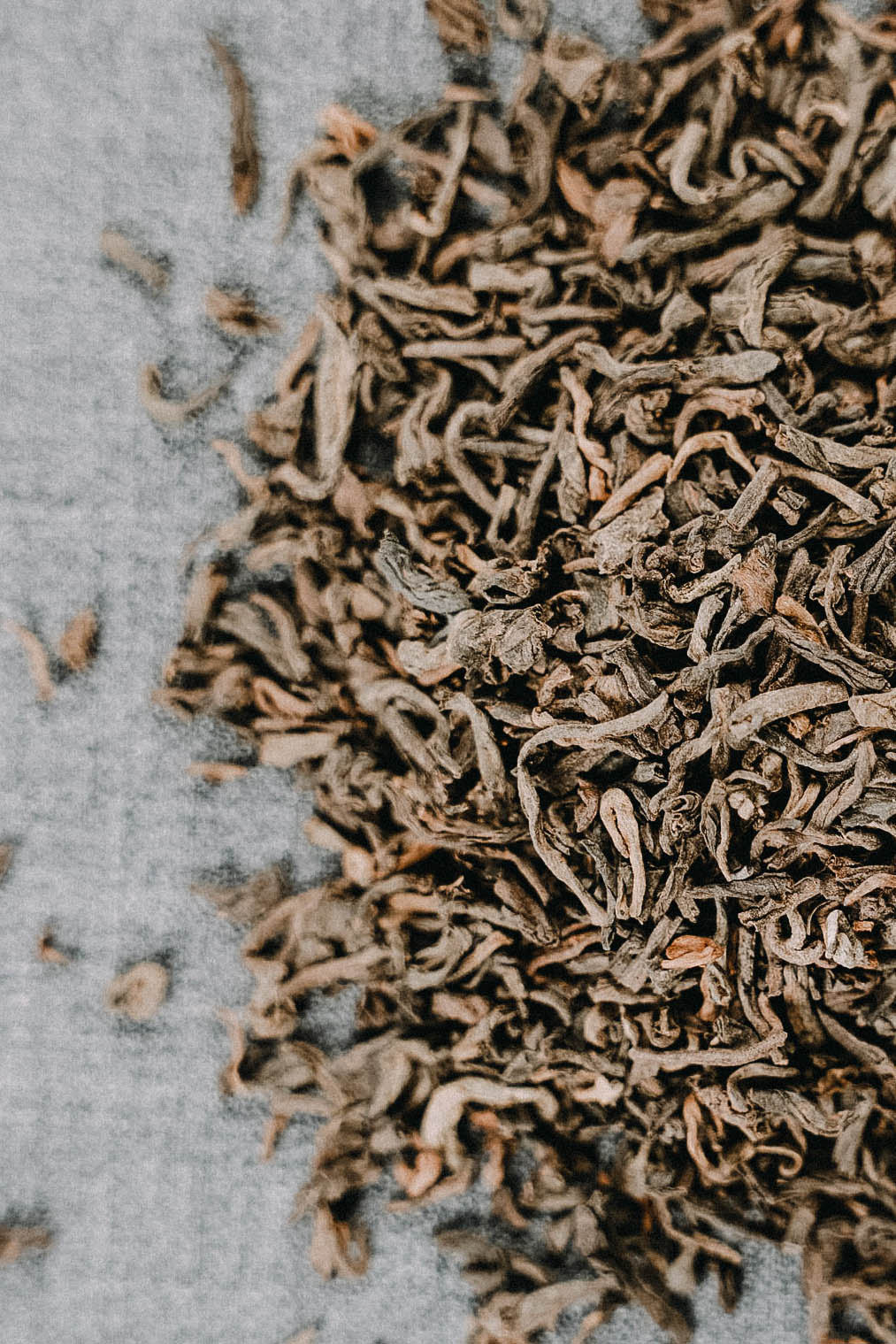 lange gebogene Puerhblätter